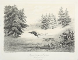 Views in South Australia - 1. Bushmen at Camp Mouth of the Salt Creek SA  2. Hungry Bushmen after Beef, Scene near the Maria Creek SA  3. Kangaroo Hunting in SA  4. Mount Gambier, SA  5. Scene on the River Murray SA  6. The Rocky Creek SA