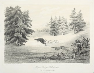 Views in South Australia – 1. Bush… RARE BOOKS