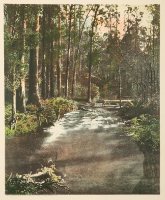 Batt's Bend, River Watt Australia - Antique View from 1890