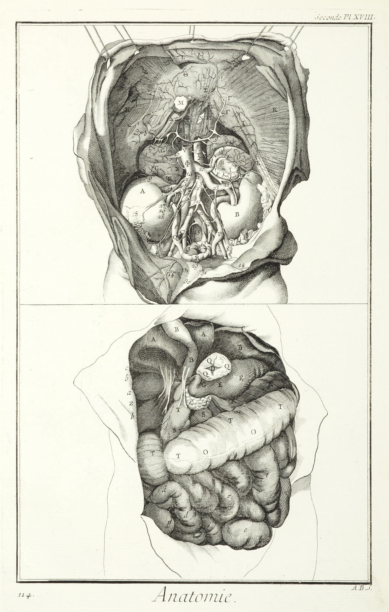 Anatomie. [Les Reins, d'apres le meme.] - Antique Print from 1764