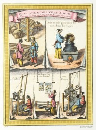 [SILK PRODUCTION IN CHINA] Set of 4