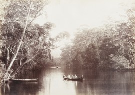 View in National Park. Australian photographs View in National Park.