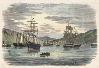 View of Port Chalmers. NEW ZEALAND