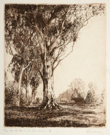 On the Road to Tambourine Q. sic [Tamborine]