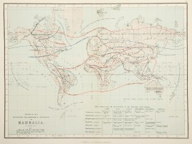 Zoological map, illustrating the geographical distribution of mammalia.