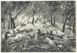 Fire and flight: from the picture in the exhibition of the Victorian Academy by F. Woodhouse. - Antique Print from 1875