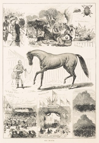 The Month. Equestrian