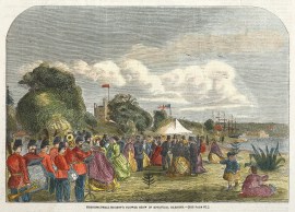 Horticultural Society’s Flower Show in Botan… NSW - Sydney