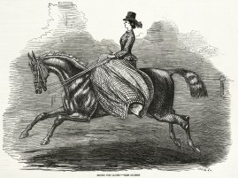 Riding for Ladies.-Miss Gilbert Equestrian