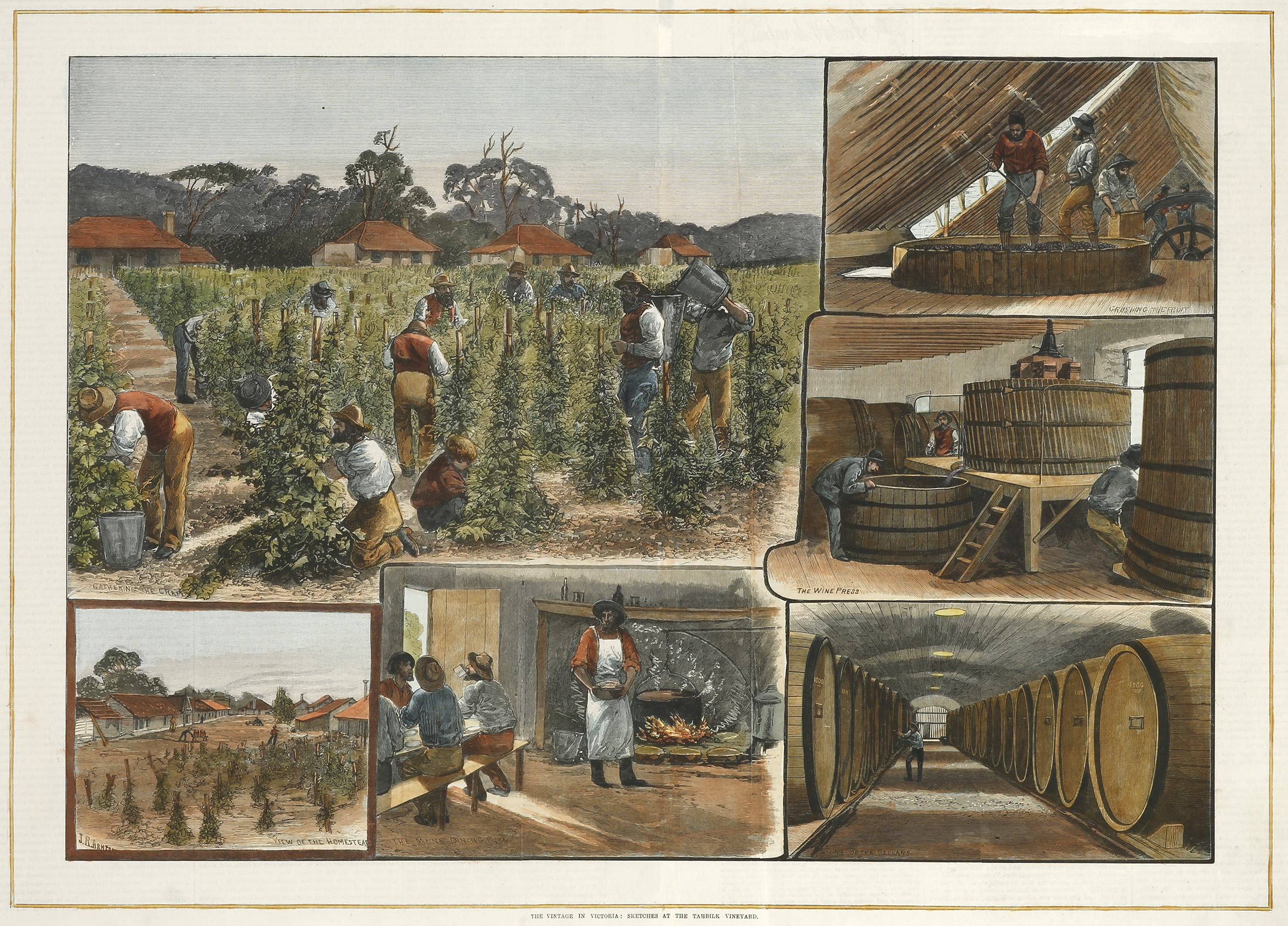 The Vintage in Victoria: Sketches at the Tahblik Vineyard. - Antique Print from 1875