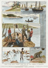 Views in and Around Thursday Island, and the Pearl Fisheries of Queensland.