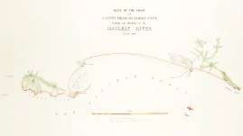 Trace of the Coast from Scott's Head to Smoky Cape Shewing the Entrance to the Macleay River N.S.W. 1866