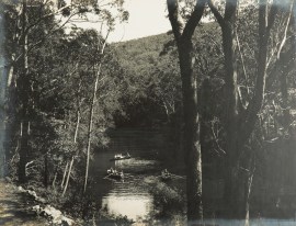 On the Freshwater River, National Park. NSW - Country On the Freshwater River, National Park.