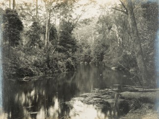 On the Freshwater River, National Park. Australian photographs