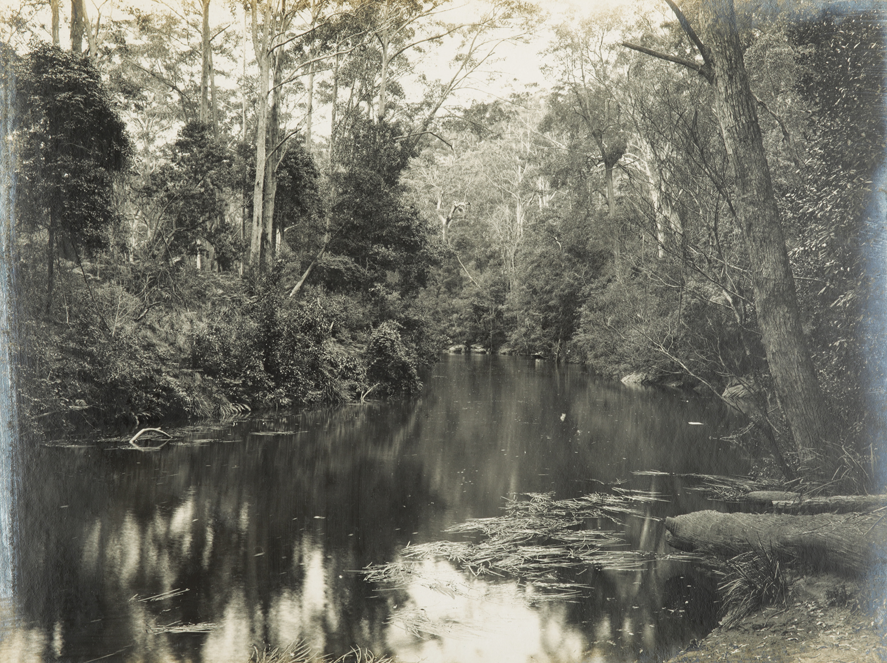 On the Freshwater River, National Park. - Vintage Print from 1922