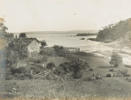 Cattle Bay, Eden. NSW - Country Cattle Bay, Eden.