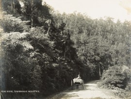 Road Scene, Cambewarra Mountain NSW - Country Road Scene, Cambewarra Mountain