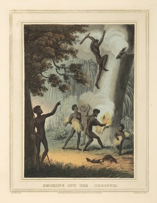 Smoking Out the Opossum. Acquisitions Maps & Prints