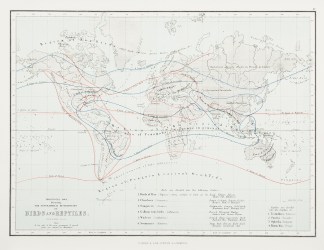 Zoological Map, Illustrating the Geograp… WORLD