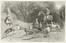 The Altcar Meeting: Some of the Competitors for th… Dogs