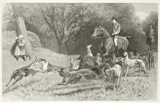 The Altcar Meeting: Some of the Competit… Dogs