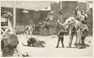 “Loose!” General / Global