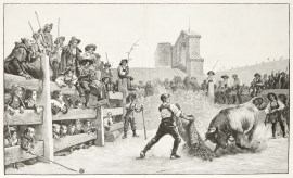 A Bull-Fight in a Country Village in Spain