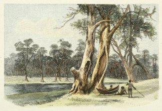 Australian Aborigines making a Bark Cano… First Nations History