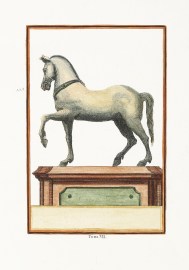 [Horse] Ancient Vases