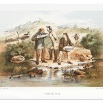 Artists - Samuel Thomas Gill (1818-1880)