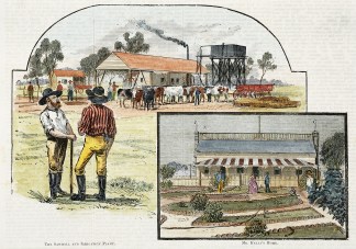 A Western Homestead. – Myalmundi. Regional