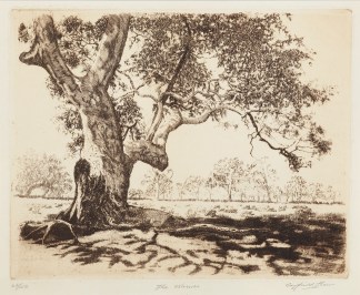 The Warriors Australiana (General)