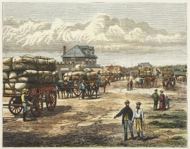 The Wool Trade of New South Wales.-A Halt at Dubbo… Regional