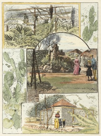 1. A Bit of the Bush House Acclimatisati… Queensland