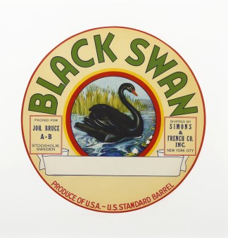 Black Swan Australian