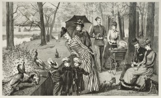 Feeding the Peacocks in Kensington Garde… ANIMALS