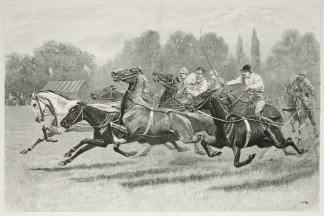 A Polo Pony Tandem Race at the Ranelagh … SPORTS