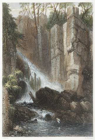 Cataract Glen, Mount Wellington, Tasmani… Tasmania