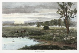 The Darling Downs Queensland