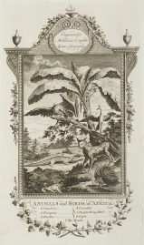 Animals and Birds of Africa.