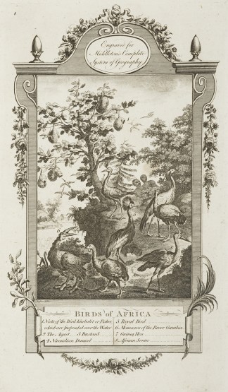 Birds of Africa General / Global