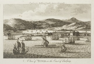 A View of Tunis on the Coast of Barbary. AFRICA
