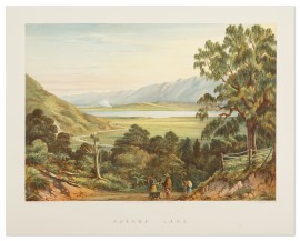 Pukawa Lake North Island Pukawa Lake