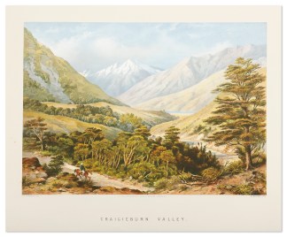 Craigieburn Valley. South Island