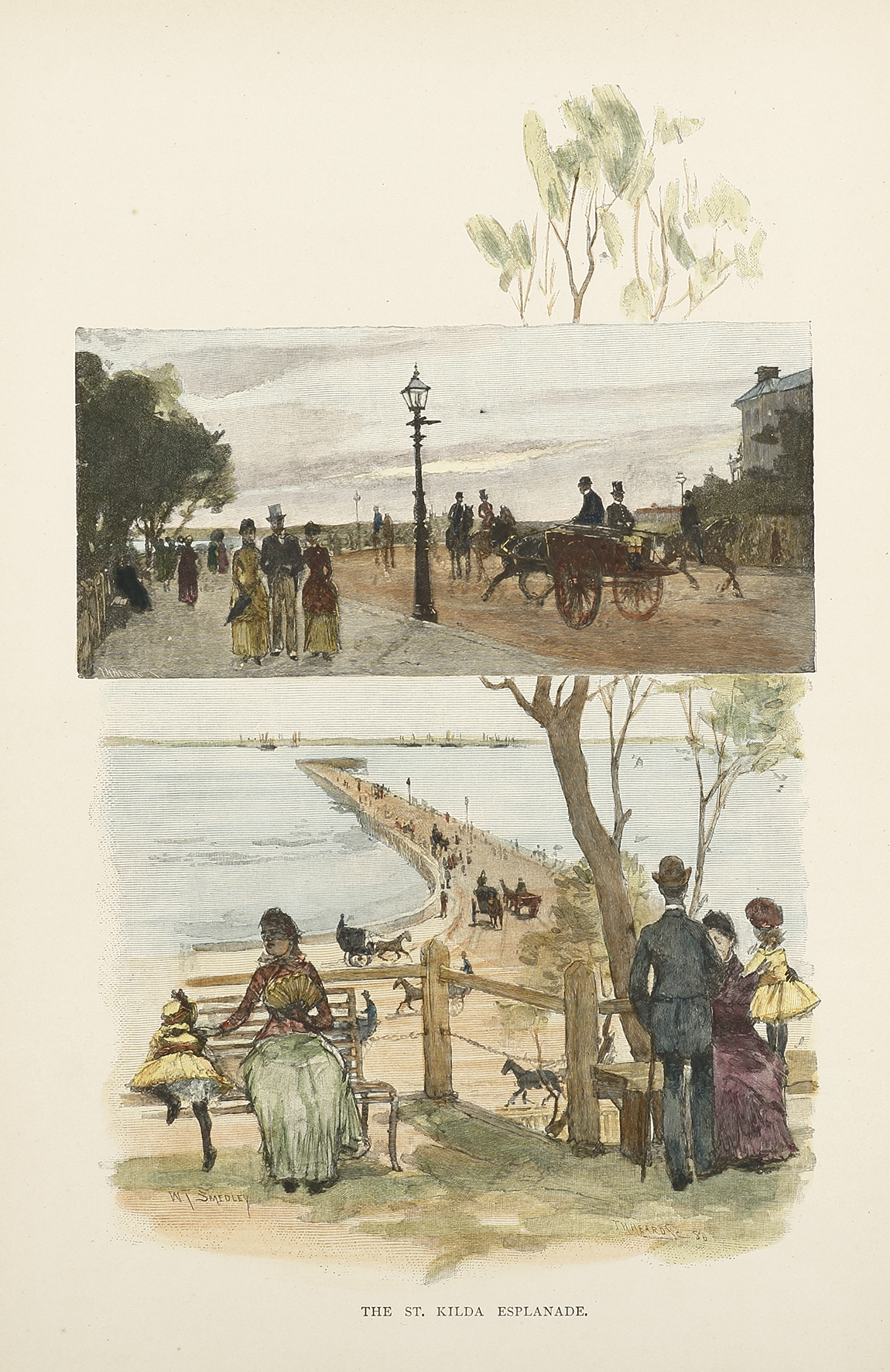 The St. Kilda Esplanade. - Antique Print from 1886