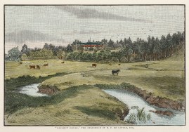 “Caramut House,” the Residence of H.F.… Regional