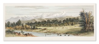 Te Anan [Te Anau] South Island