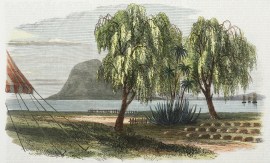 The Cemetery at Tauranga, with the Graves of the Officers and Soldiers Killed at the Puke Wharangi Pah.