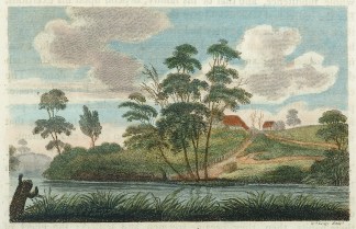Saunderson’s Farm, Looking down th… Sydney
