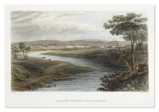 Adelaide from the River Torrens. Adelaide